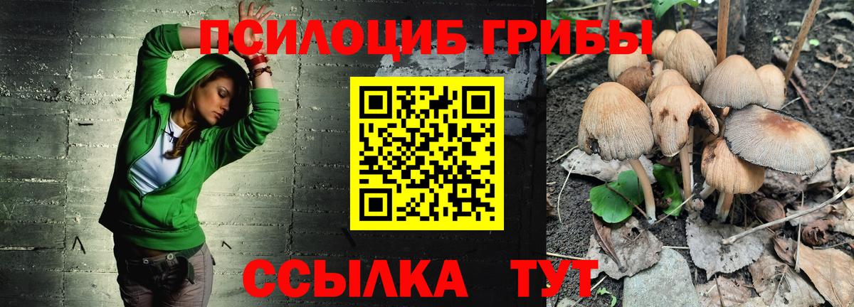 Псилоцибиновые грибы Psilocybe  Галлюциногенные грибы Psilocybine cubensis  Зеленокумск  Вход с VPN 